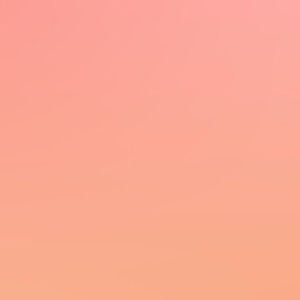 Meet your Posher, Laurence